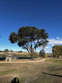 Explore the scenic historic town - Oathlands