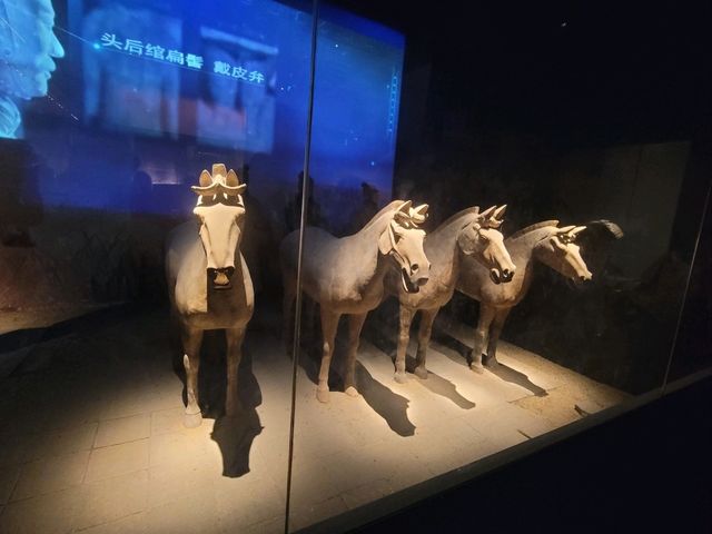 현재 시안 여행중....