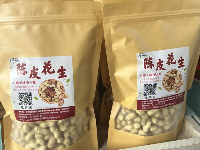 江門2天快閃 （續）