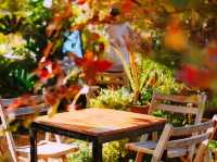 22 Aquarius Glamping Cafe