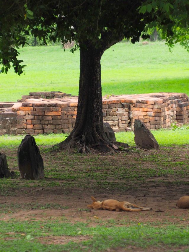 เมืองโบราณเสมา โคราช