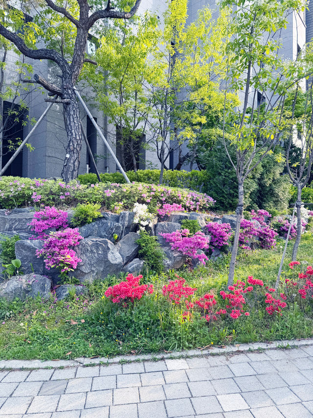 해뜨는 공원 산책 추천드려요!