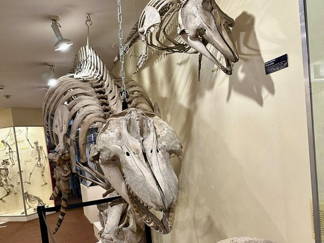 Booth Museum of Natural History