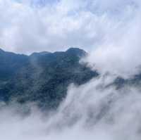 Misty Majesty: Fansipan
