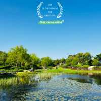 Exploring the Hanbat Arboretum