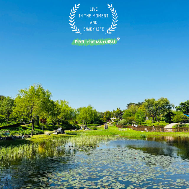 Exploring the Hanbat Arboretum