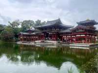 宇治抹茶