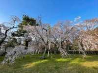 Green Spaces, Kyoto Gyoen is the Perfect Escap