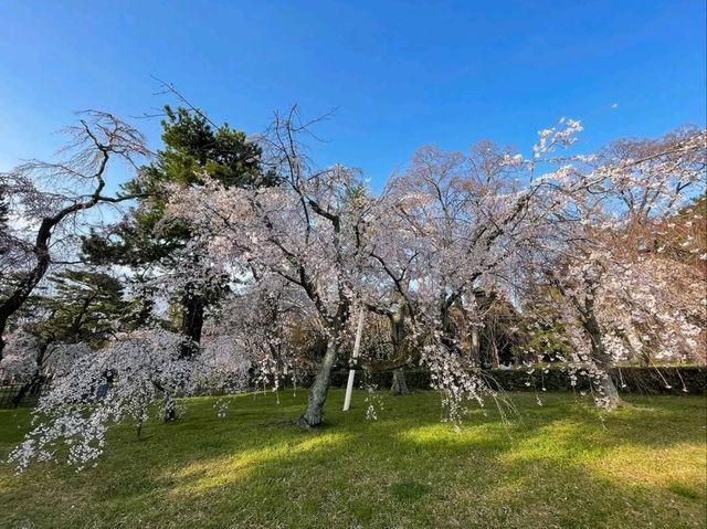 Green Spaces, Kyoto Gyoen is the Perfect Escap
