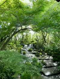 Hidden Gem Near Himeji – Koko-en Garden, The Perfect Quiet Escape!
