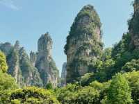 Weekend Escape to Zhangjiajie: A Jaw-Dropping Adventure!** 🌄✨   