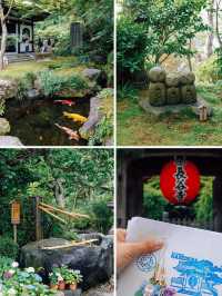 🌸 Kamakura Hydrangea Guide - A Must-See in June! 🌸