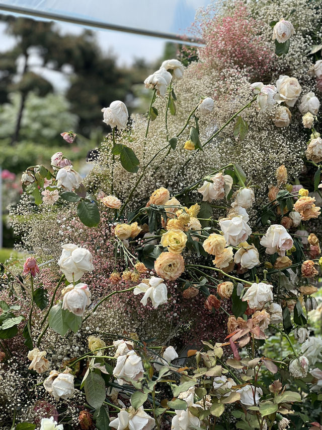 🌸 “봄날, 꽃과 함께 걷는 길 – 호수공원 꽃박람회 야외 데이트”