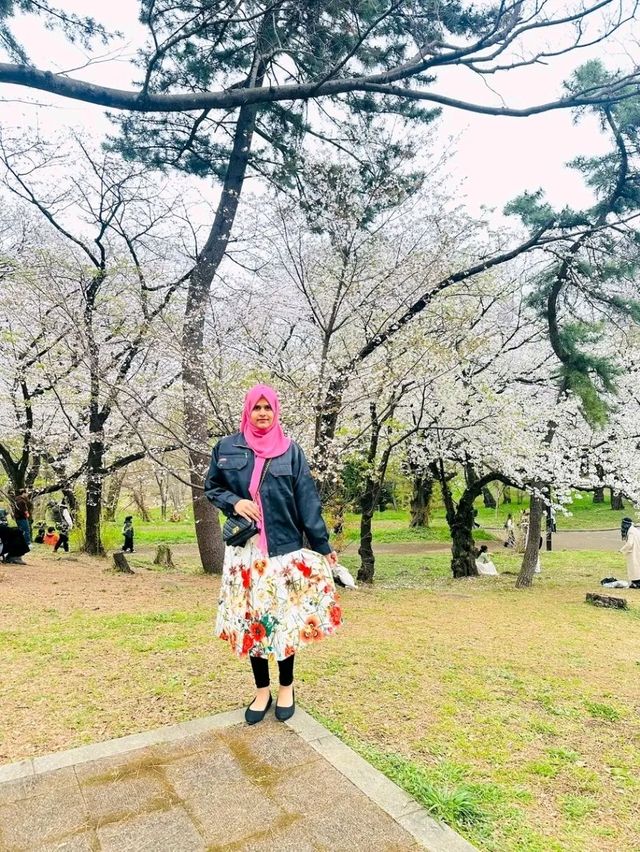 Tokyo Tales – Where Tradition Meets Tomorrow