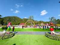 A Floral Wonderland Awaits