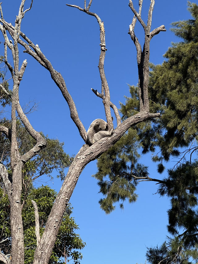 Picture perfect spots in Taronga Zoo Sydney