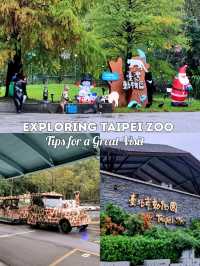 Exploring Taipei Zoo: Tips for a Great Visit