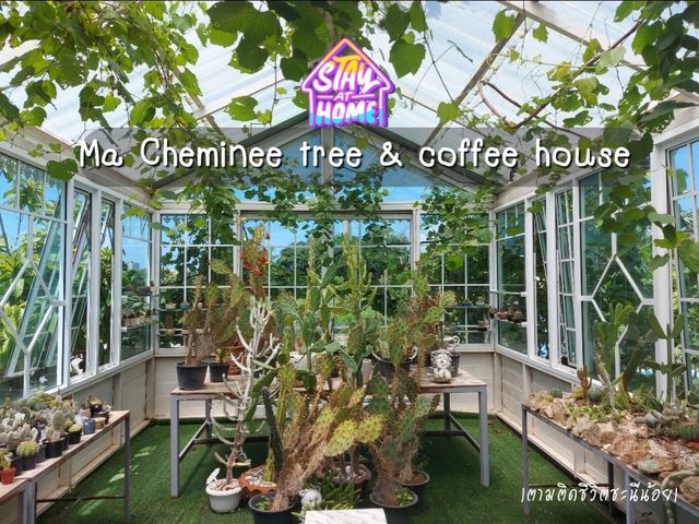 คาเฟ่พัทยา Ma Cheminee tree & coffee house 