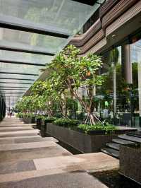 Urban Oasis: My Stay at PARKROYAL COLLECTION Pickering, Singapore
