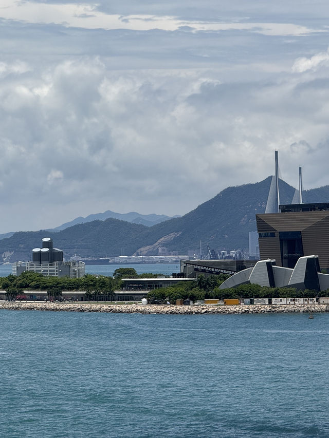 香港｜海運觀點｜史迪仔點燃香港深度遊的維港狂熱