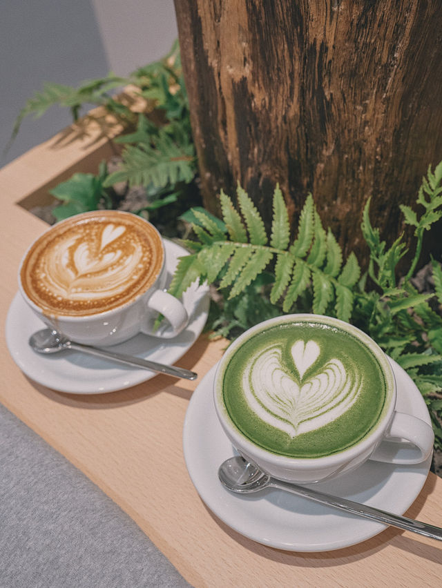 【NOC木系主題店太古開幕☕️】