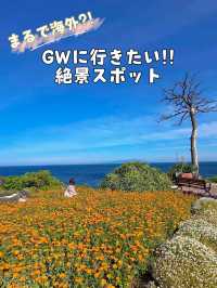 【伊豆高原】絶景穴場スポットで映える