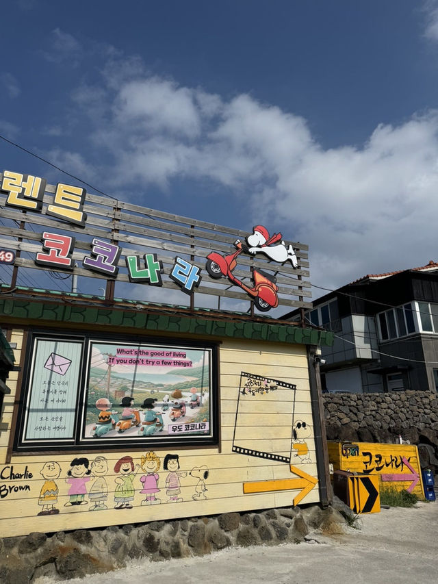 우도 당일치기 코스 🩵