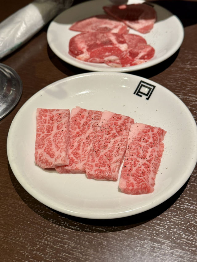 3 Days in Hikone