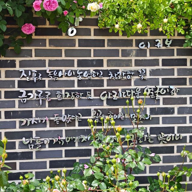5월의 여왕, 장미 보러 전주수목원 다녀왔어요! 🌹