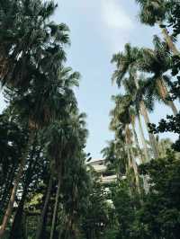 台北｜植物園繡球花季｜城市綠洲的夢幻花語