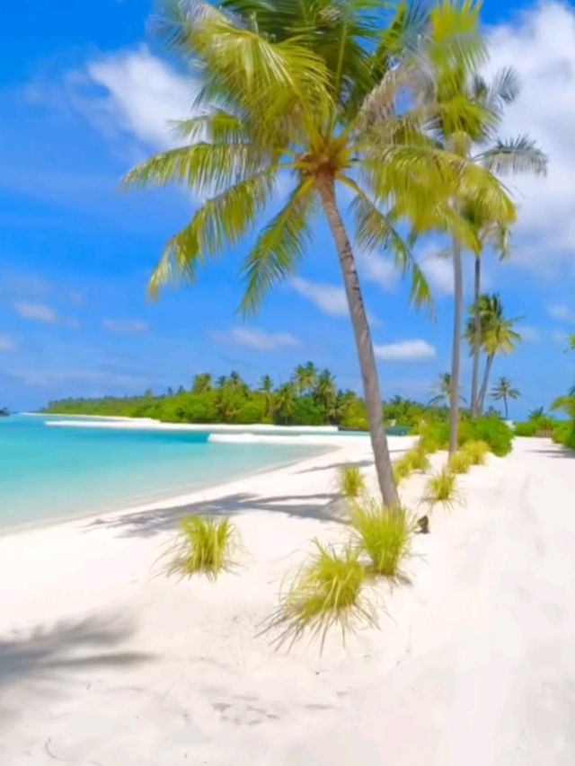  The Nautilus Maldives Resort: Your Private Island Dream, Unscripted 🌊