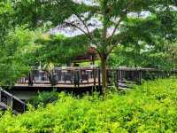LUXURIOUS 2 NIGHT STAY AT RIMBA BY AYANA BALI