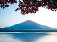 Epic Spring Mt. Fuji Framed by Sakura at Chureito Pagoda
