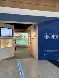 장마철 대비해서 아이들과 나들이 가기 좋은 곳☔️