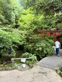 【福岡県】想像以上に大迫力！！福岡行くなら行ってみて！