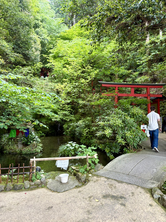 【福岡県】想像以上に大迫力！！福岡行くなら行ってみて！
