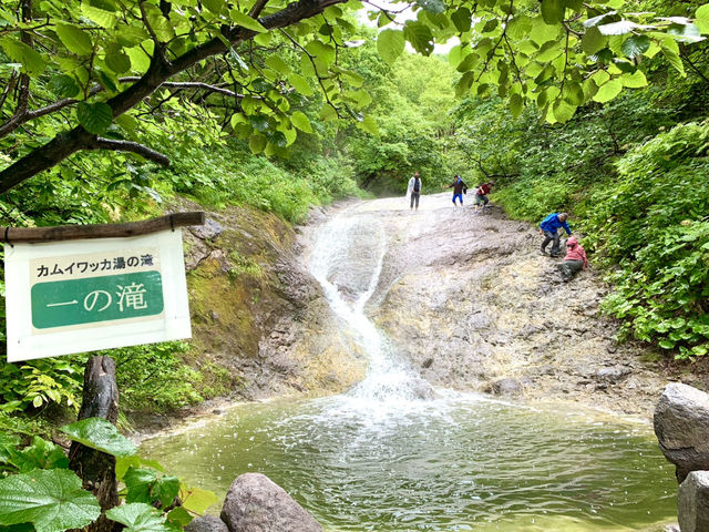 北海道　知床観光　知床攻略はコレだ！