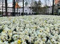 Tivoli Gardens: A Fairytale in the Heart of Copenhagen