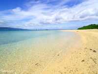 【沖縄】うさぎとビーチと大自然が楽しめる無人島「カヤマ島」