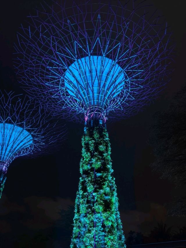 Gardens by the Bay Singapore