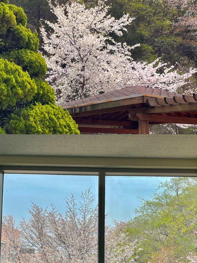 연인과 함께한, 잊지 못할 야외 데이트 🌿
