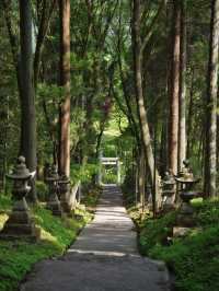 【行く前にこれ見て】神秘的な風景と絶景に心惹かれる⛩️⛰️※周辺観光情報付