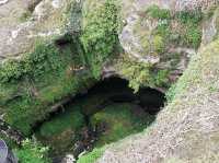 Cave Garden: A Lush Sanctuary in Mount Gambier