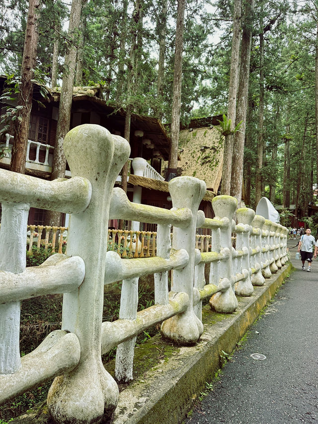 台灣南投溪頭妖怪村半日遊