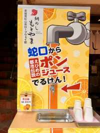 愛媛｜打開水龍頭就有柑橘汁喝 松山城下町新奇體驗