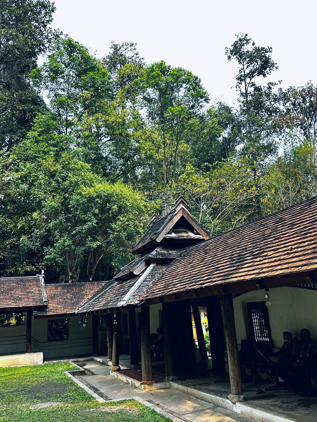 Favorite short hike in chiang mai