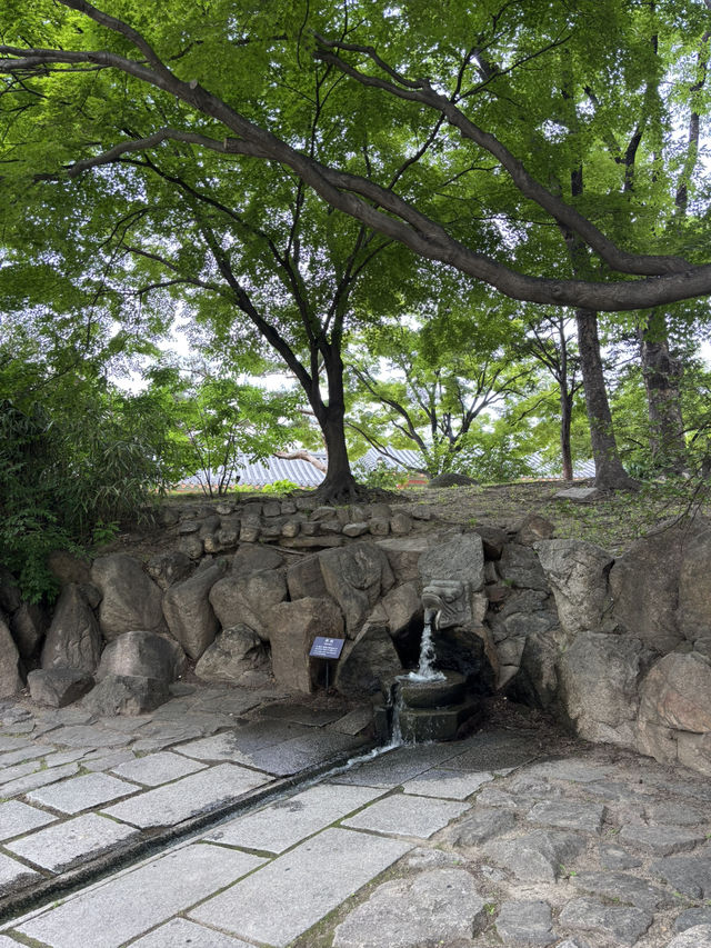 7080 레트로감성 서울 궁궐 덕수궁🙇‍♂️