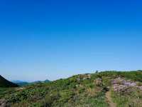 Cool Trails at Hyangjeokbong