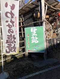 🏞️日本三名爆『袋田の滝』西行法師曰く「四度(よど)の滝」