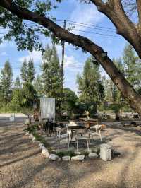 Ground Phlox Cafe 🏕️ ซอยเฉลิมพระเกียรติ 75 